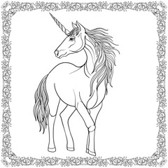 Unicorn