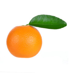 Orange isolated on white