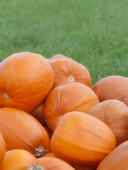 Orange Helloween pumpkins outdoors