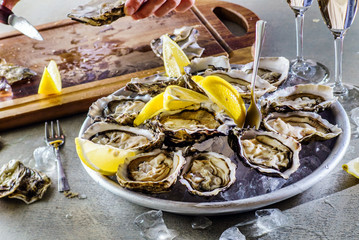 Opened Oysters
