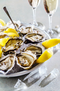Opened Oysters