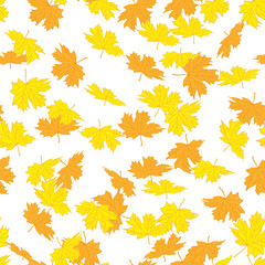 Seamless pattern from beautiful autumn maple leaves