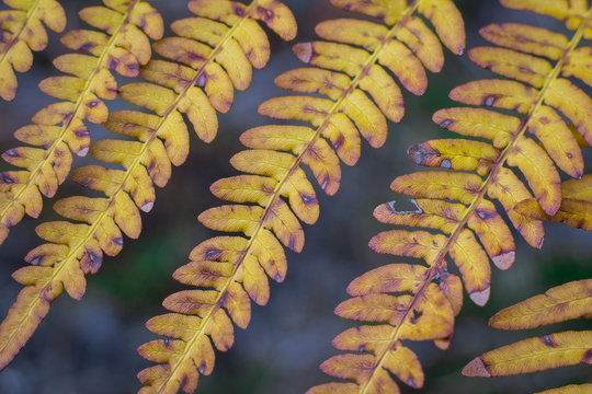 รูปภาพToreutic เลือกดูภาพถ่ายสต็อก เวกเตอร์ และวิดีโอ697 Adobe Stock