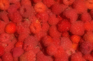 Raspberry