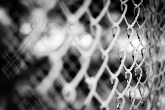 Abstract background. Blurred of old rusty wire fence with a low depth of field. (black and white image)