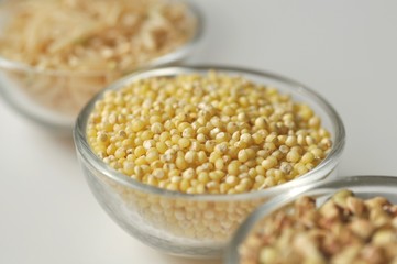 Millet - gluten free grain in a glass bowl, close-up