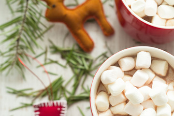 Obraz na płótnie Canvas cocoa with marshmallows in a cup