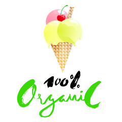 Ice cream cartoon with 100 percent organic lettering isolated