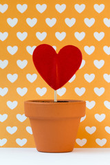 my love for you is growing against a yellow background