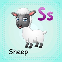 Animals alphabet: S is for Sheep