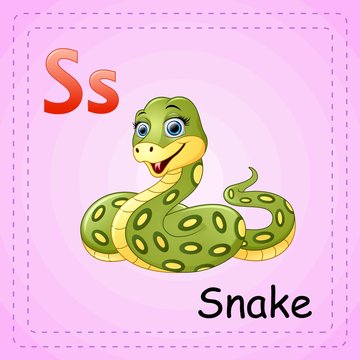 Animals alphabet: S is for Snake