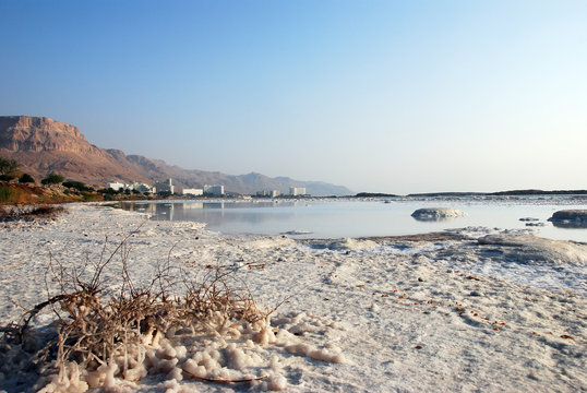 Salty coast. Dead Sea, Israel.