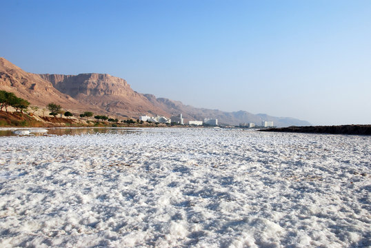 Salty desert. Dead Sea, Israel.