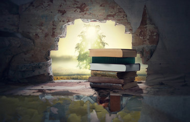 Sunrise over the destroyed wall and old books