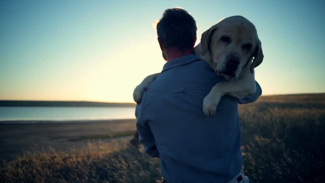 back view of man carrying old dog in sun light slow motion