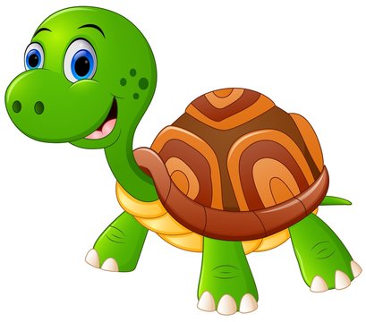 Cute turtle cartoon

