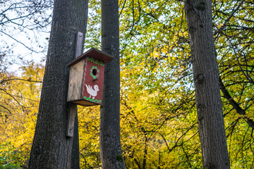 Starling-house in Vorobyovy Gory park in the autumn, Moscow Russia