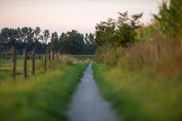 Rural path in countryside landscape. Geesteren. Achterhoek. Geld