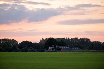 Fototapeta na wymiar Cattle shed of farm at sunset. Geesteren. Achterhoek. Gelderland
