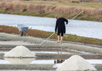 Récolte du sel dans les marais salants de Noirmoutier, Vendée, Pays de Loire