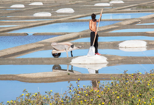 R&eacute;colte du sel dans les marais salants de Noirmoutier, Vend&eacute;e, Pays de Loire