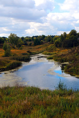 The forest and its reflection on the water