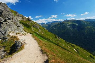 Trail in Tatry mointain (carpathian region)