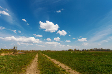 Blue cloudy sky over green meadow, Poland