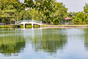 Fototapeta na wymiar Bridge and gazebo in the park