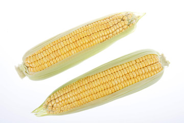 The close-up of corn, white background