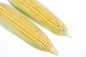 The close-up of corn, white background