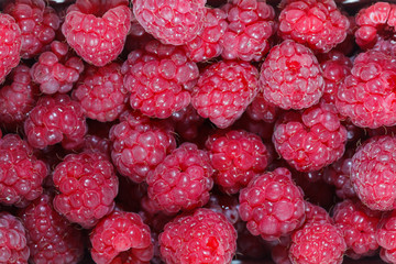 Raspberries background macro
