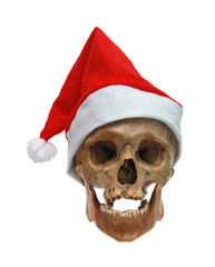 Skull in a Christmas hat