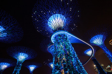SINGAPORE - July 11, 2015: Gardens by the Bay in The Night
