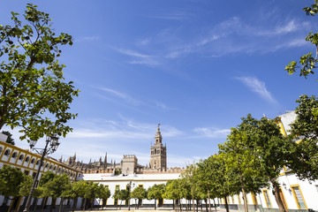 Fototapeta na wymiar view of the Seville Cathedral