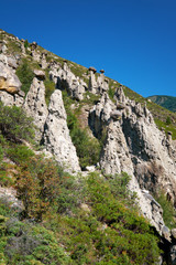 Nature phenomenon Stone Mushrooms in Altai mountains near river