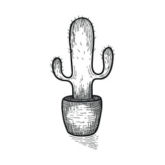 Hand drawn cactus. Doodle florals in pots. Vector botanical set with cute house interior plants
