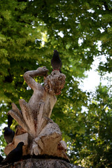 Pigeons on a fountain in park. In Split, Croatia. Selective focus.