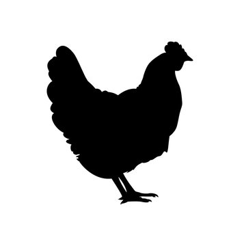 Farm bird. Hen silhouette