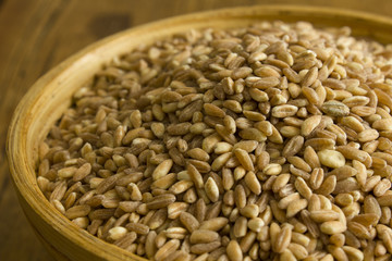 farro agricoltura biologica