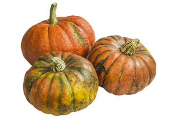 Pumpkin on white no shade