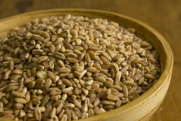farro perlato biologico
