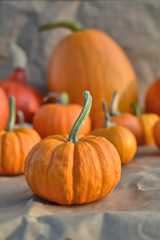 Group of pumpkins