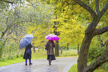Two women with umbrellas are walking in the autumn park durin the rain