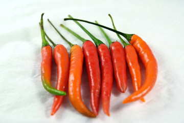 Mix of colorful Vegetables ready for Pickles