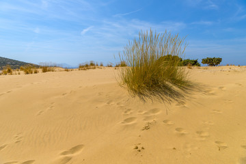 Golden sand on one of the most beautiful beaches in the world in