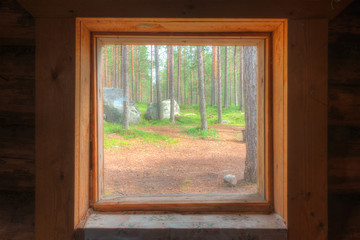 View from the window of the wooden hut in the pine forest in sunny summer day.