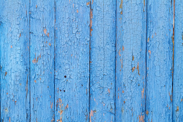 Fototapeta na wymiar Blue painted wood planks as background or texture. Close-up