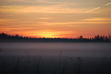 Fototapeta na wymiar Misty morning on the meadow