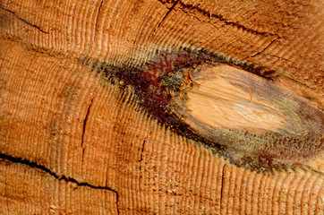 sawn wood with cracks closeup